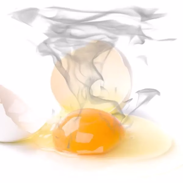 Rotten Egg Smell